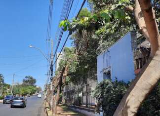 Papa denuncia CPFL no MP