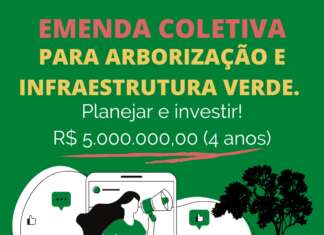 PPA: Câmara aprova emenda coletiva de R$ 5 milhões para arborização