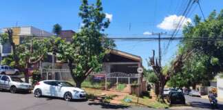 Papa denuncia CPFL por extermínio de árvores