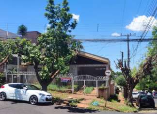 Papa denuncia CPFL por extermínio de árvores