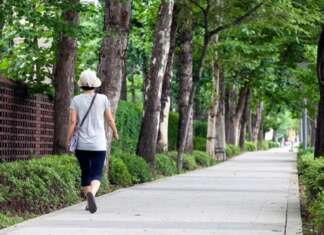 Sugestões enriquecem Política de Mobilidade