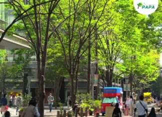 Lei de Parcelamento será debatida dia 23