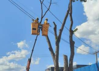 Papa critica “moda” e denuncia irregularidade