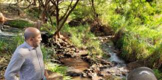 Rubem Cione: Papa cobrar plano de cuidados