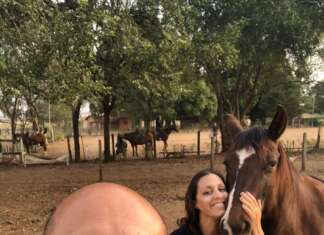 DIA NACIONAL DA EQUOTERAPIA