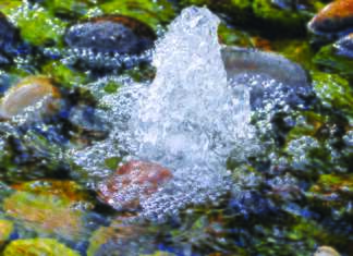 Papa quer sinalização das nascentes