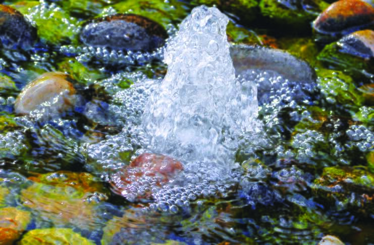 Papa quer sinalização das nascentes