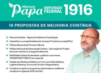 Federal 1916: Conheça 19 propostas de Papa