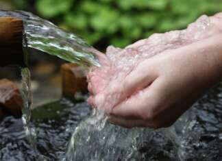 Câmara aprova PL para identificar nascentes