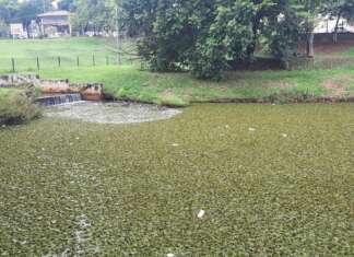 Papa quer laudo sobre esgoto no Parque das Artes