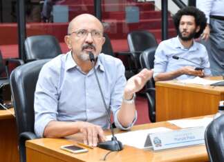 Papa defende Política de Energias Renováveis