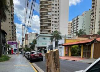 CULTURA DO DESMATE!!