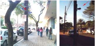 Por arborização, Papa faz sugestões em PPP