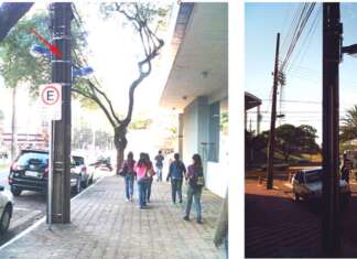 Por arborização, Papa faz sugestões em PPP