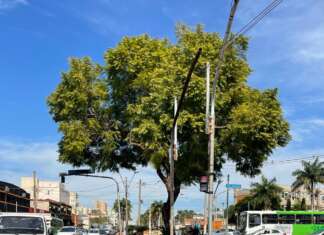 DEMÔNIOS DA DEVASTAÇÃO