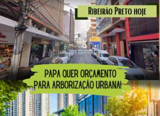 ARBORIZAÇÃO URBANA
