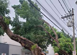 CRIME AMBIENTAL = CPFL