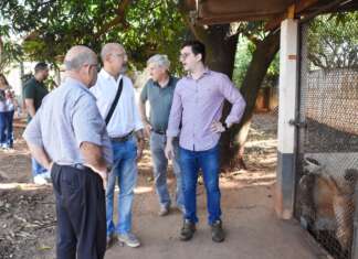 Causa animal: Comissão faz diligência na DBEA