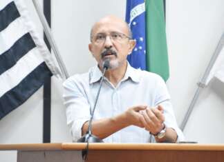 Quantas árvores foram plantadas em 2023?