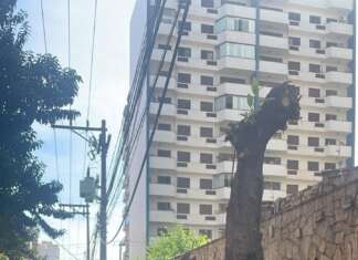 PODA DRÁSTICA, DE NOVO!!