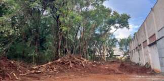 Papa denuncia crime ambiental em corredor verde