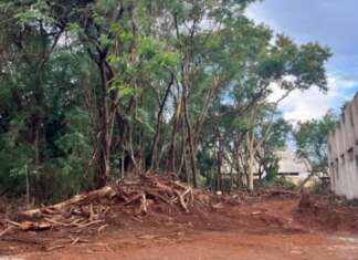 Papa denuncia crime ambiental em corredor verde